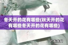 秋天开的花有哪些冬天开的花有哪些 冬天开的花有哪些