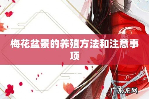 梅花盆景的养殖方法和注意事项