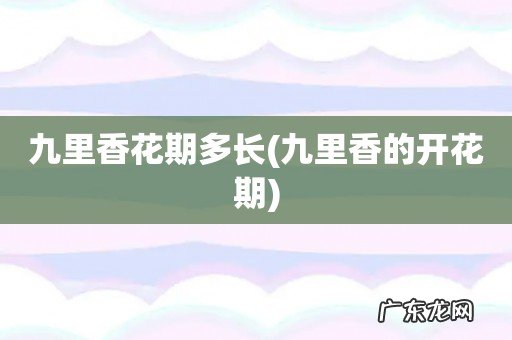 九里香的开花期 九里香花期多长