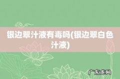 银边翠白色汁液 银边翠汁液有毒吗
