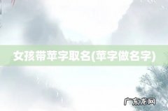 苹字做名字 女孩带苹字取名
