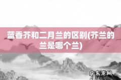 芥兰的兰是哪个兰 蓝香芥和二月兰的区别