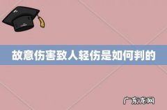 故意伤害致人轻伤是如何判的
