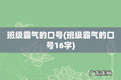 班级霸气的口号16字 班级霸气的口号