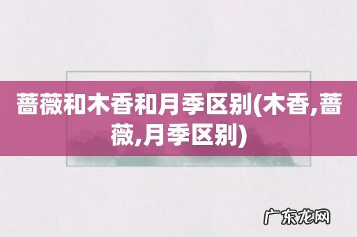 木香,蔷薇,月季区别 蔷薇和木香和月季区别