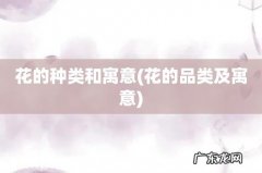 花的品类及寓意 花的种类和寓意