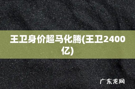 王卫2400亿 王卫身价超马化腾