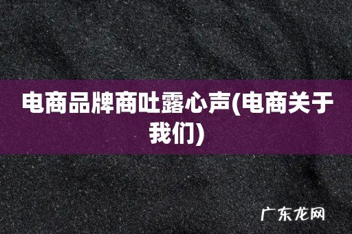 电商关于我们 电商品牌商吐露心声