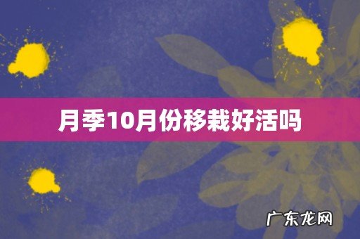 月季10月份移栽好活吗