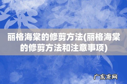 丽格海棠的修剪方法和注意事项 丽格海棠的修剪方法