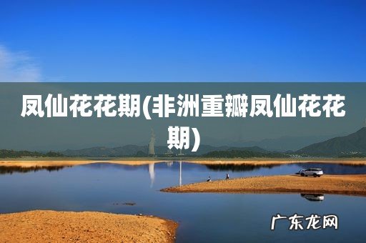 非洲重瓣凤仙花花期 凤仙花花期