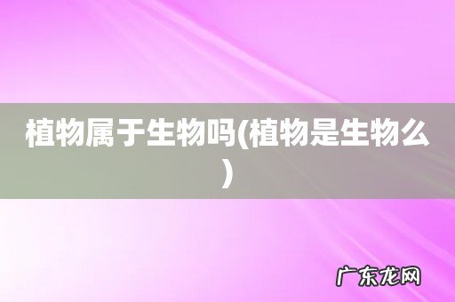 植物是生物么 植物属于生物吗
