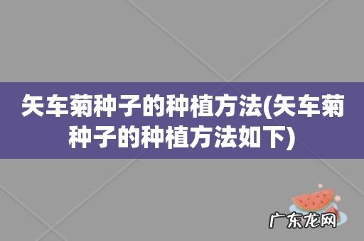 矢车菊种子的种植方法如下 矢车菊种子的种植方法