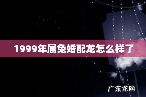1999年属兔婚配龙怎么样了