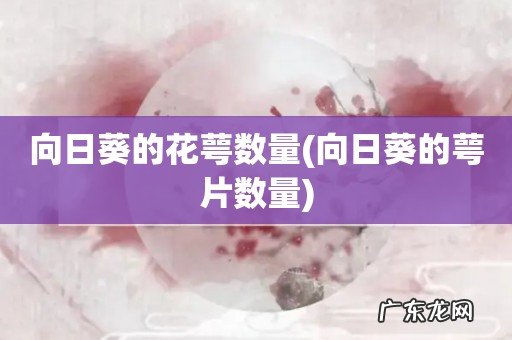 向日葵的萼片数量 向日葵的花萼数量