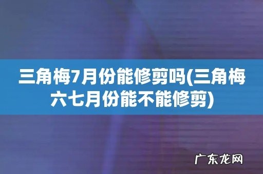 三角梅六七月份能不能修剪 三角梅7月份能修剪吗