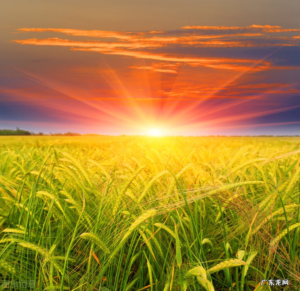 风水先生害人怎么办 风水先生都无好下场