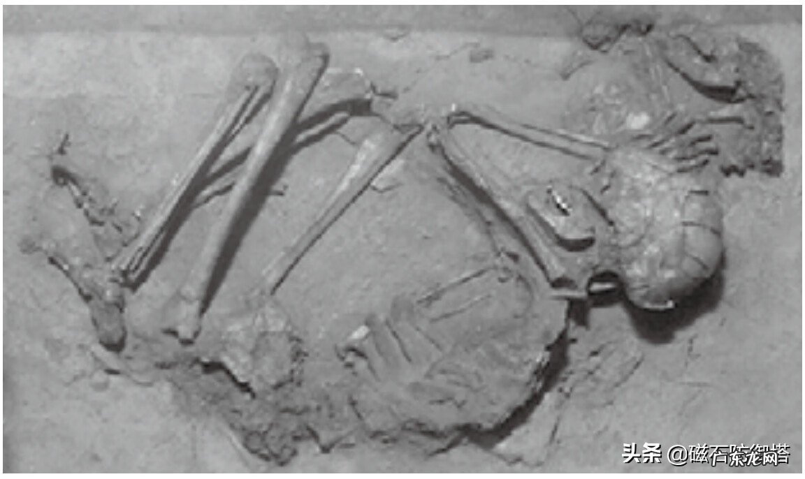 龟形山有什么风水说法 上山龟的风水