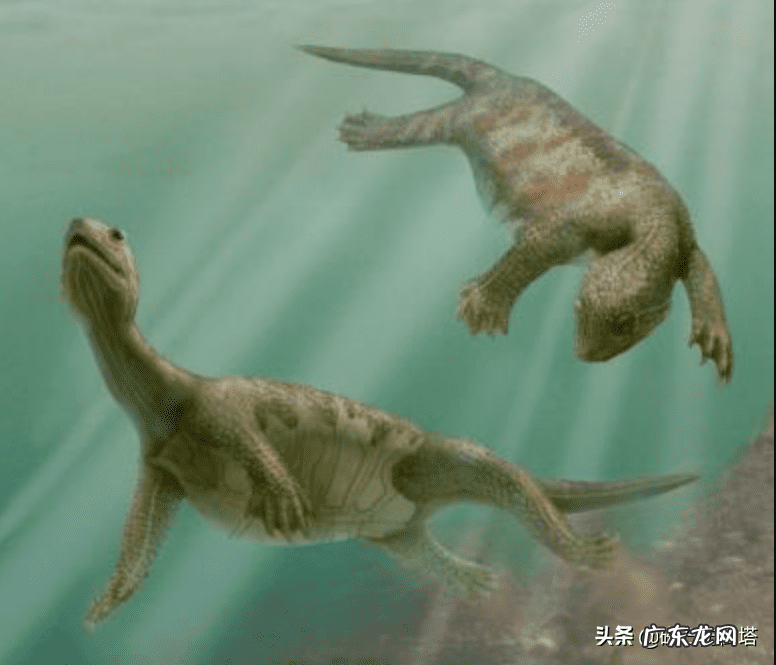 龟形山有什么风水说法 上山龟的风水