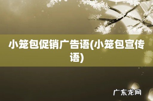 小笼包宣传语 小笼包促销广告语
