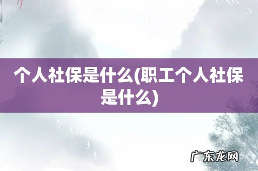 职工个人社保是什么 个人社保是什么