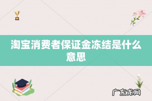 淘宝消费者保证金冻结是什么意思