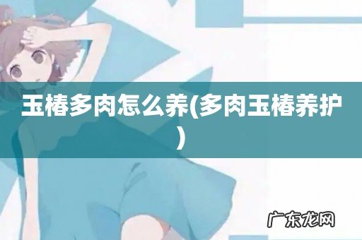 多肉玉椿养护 玉椿多肉怎么养