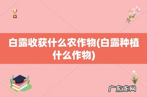 白露种植什么作物 白露收获什么农作物