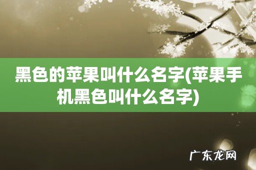 苹果手机黑色叫什么名字 黑色的苹果叫什么名字