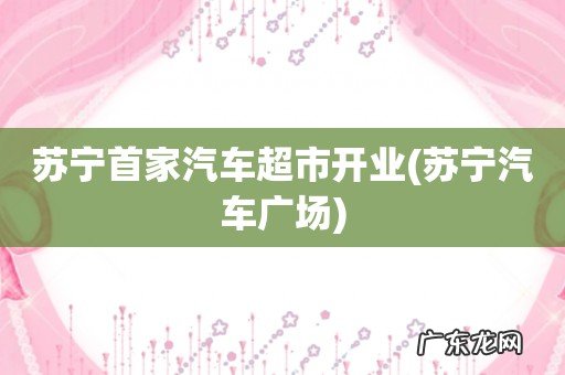 苏宁汽车广场 苏宁首家汽车超市开业