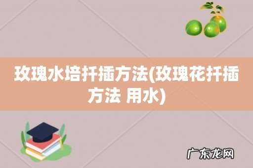玫瑰花扦插方法 用水 玫瑰水培扦插方法