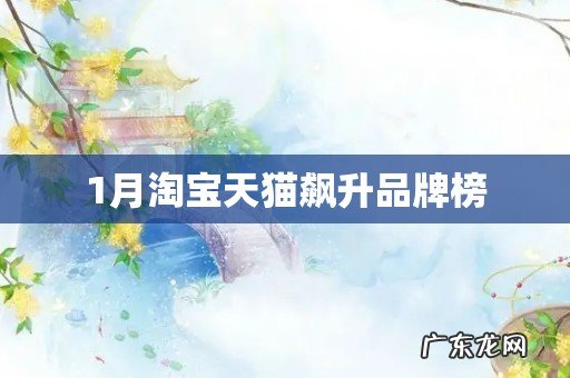 1月淘宝天猫飙升品牌榜