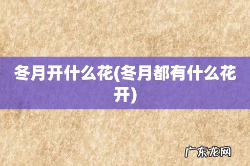 冬月都有什么花开 冬月开什么花