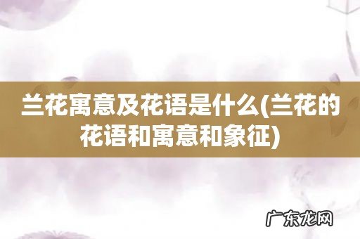 兰花的花语和寓意和象征 兰花寓意及花语是什么