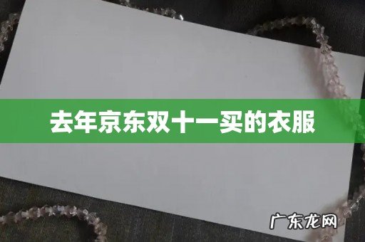 去年京东双十一买的衣服