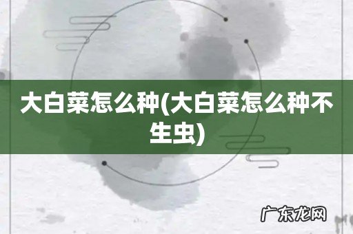 大白菜怎么种不生虫 大白菜怎么种