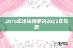 2016年出生属猴的2022年命运