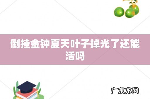 倒挂金钟夏天叶子掉光了还能活吗