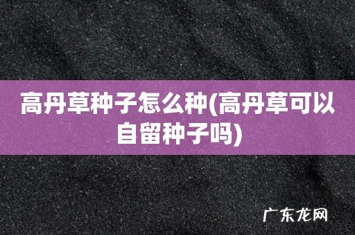 高丹草可以自留种子吗 高丹草种子怎么种