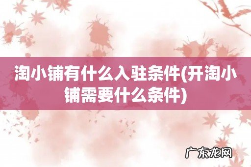 开淘小铺需要什么条件 淘小铺有什么入驻条件