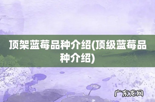 顶级蓝莓品种介绍 顶架蓝莓品种介绍