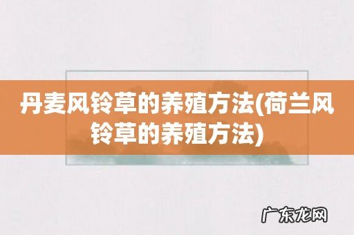 荷兰风铃草的养殖方法 丹麦风铃草的养殖方法