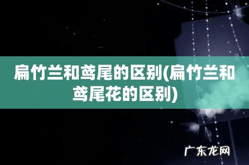 扁竹兰和鸢尾花的区别 扁竹兰和鸢尾的区别