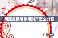 同居关系解除后财产怎么分割