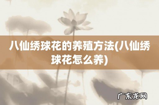 八仙绣球花怎么养 八仙绣球花的养殖方法