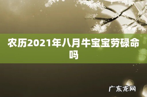 农历2021年八月牛宝宝劳碌命吗