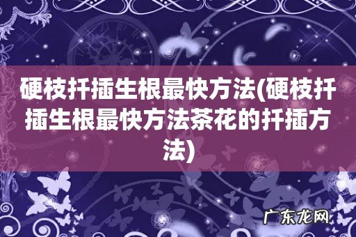 硬枝扦插生根最快方法茶花的扦插方法 硬枝扦插生根最快方法