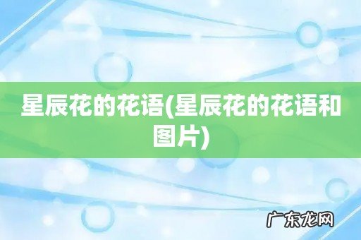 星辰花的花语和图片 星辰花的花语