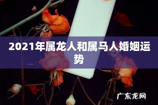 2021年属龙人和属马人婚姻运势