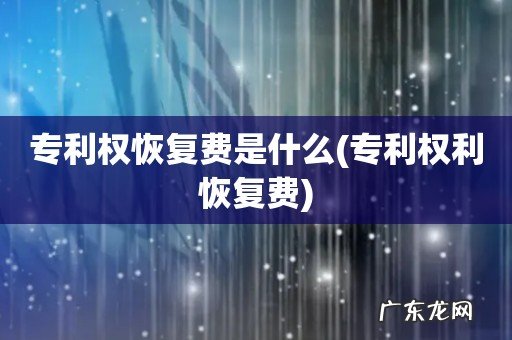 专利权利恢复费 专利权恢复费是什么